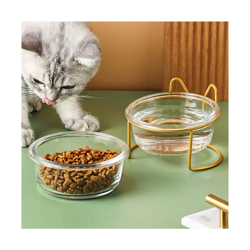 PAWS ASIA China Manufacturers Elevated Metal Stand Tilted Double Water And Food Cat Glass Bowl