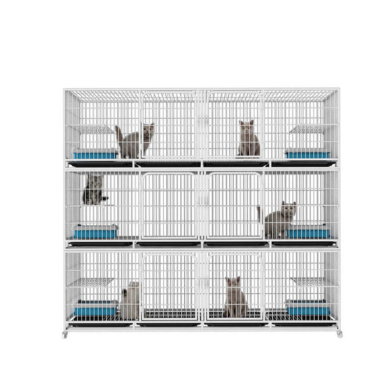 PAWS ASIA China Manufacturers Galvanized Steel Pipe Enclosures Large Commercial Pet Breeding Cat Cage 3 Layer