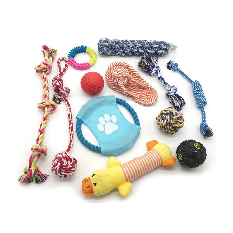 PAWS ASIA Manufacturers Chewing Interactive Eco Friendly Teeth Cleaning Assorted Dog Toy Set Rope