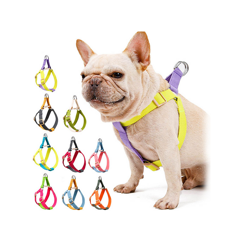 PAWS ASIA Manufacturers Cute Colorful Tough Adjustable Dog Leash Body Harness Set